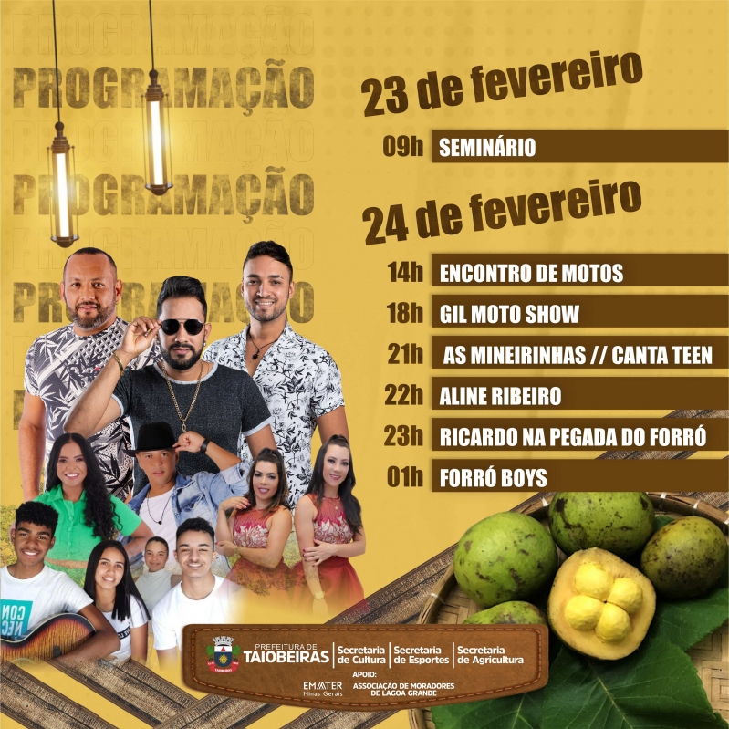 Festa do Pequi 2024